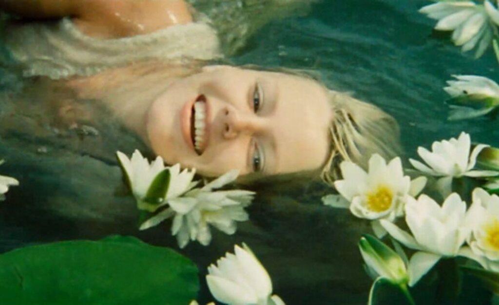 Velnio nuotaka 2 Zebriunas